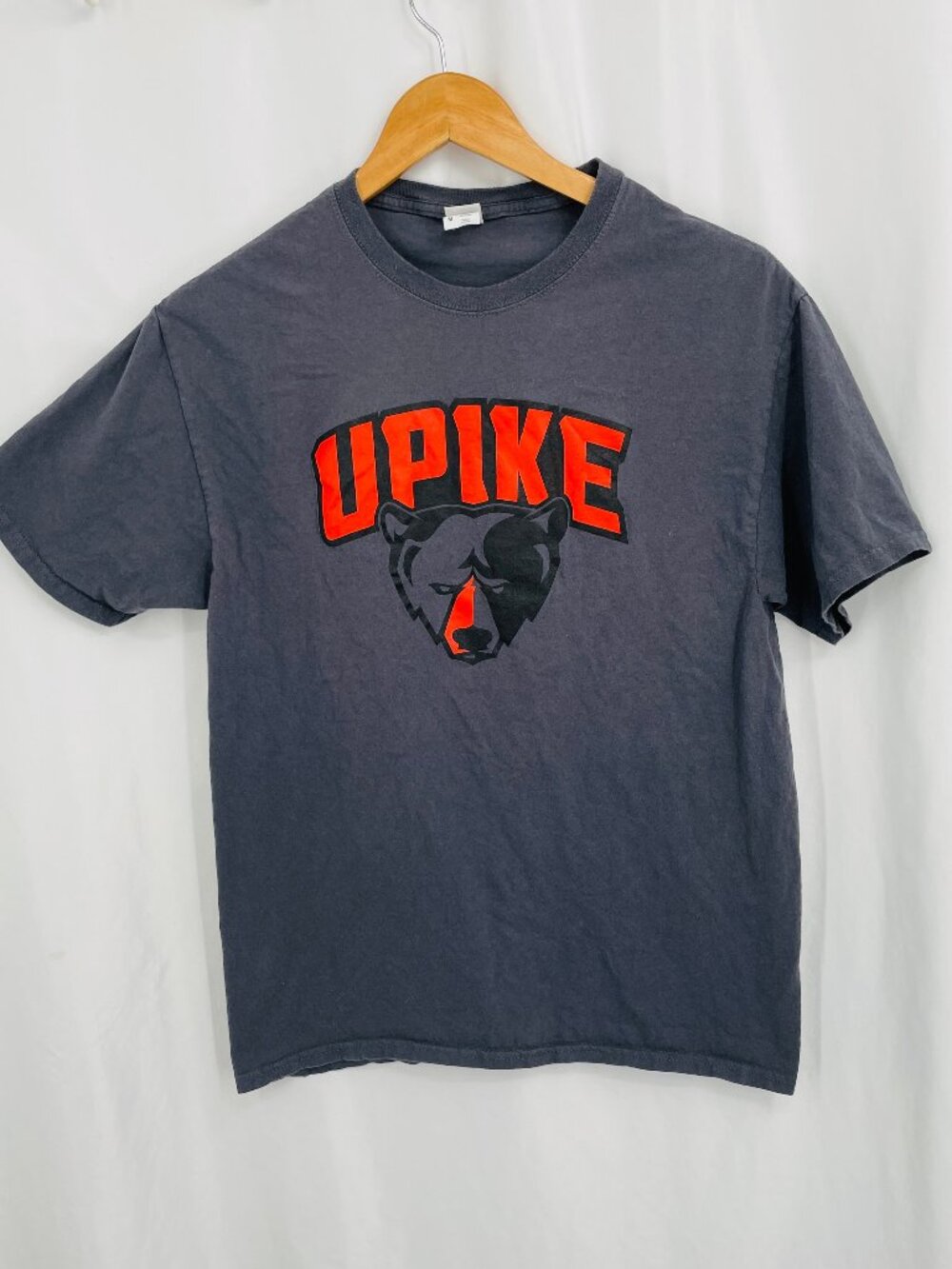 Vintage Fruit of the Loom UPIKE University Gray Short Sleeve Shirt
